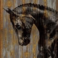 thumbnail image 3 of Rose, Martin 20x20 Black Modern Framed Museum Art Print Titled - Horse I, 3 of 5