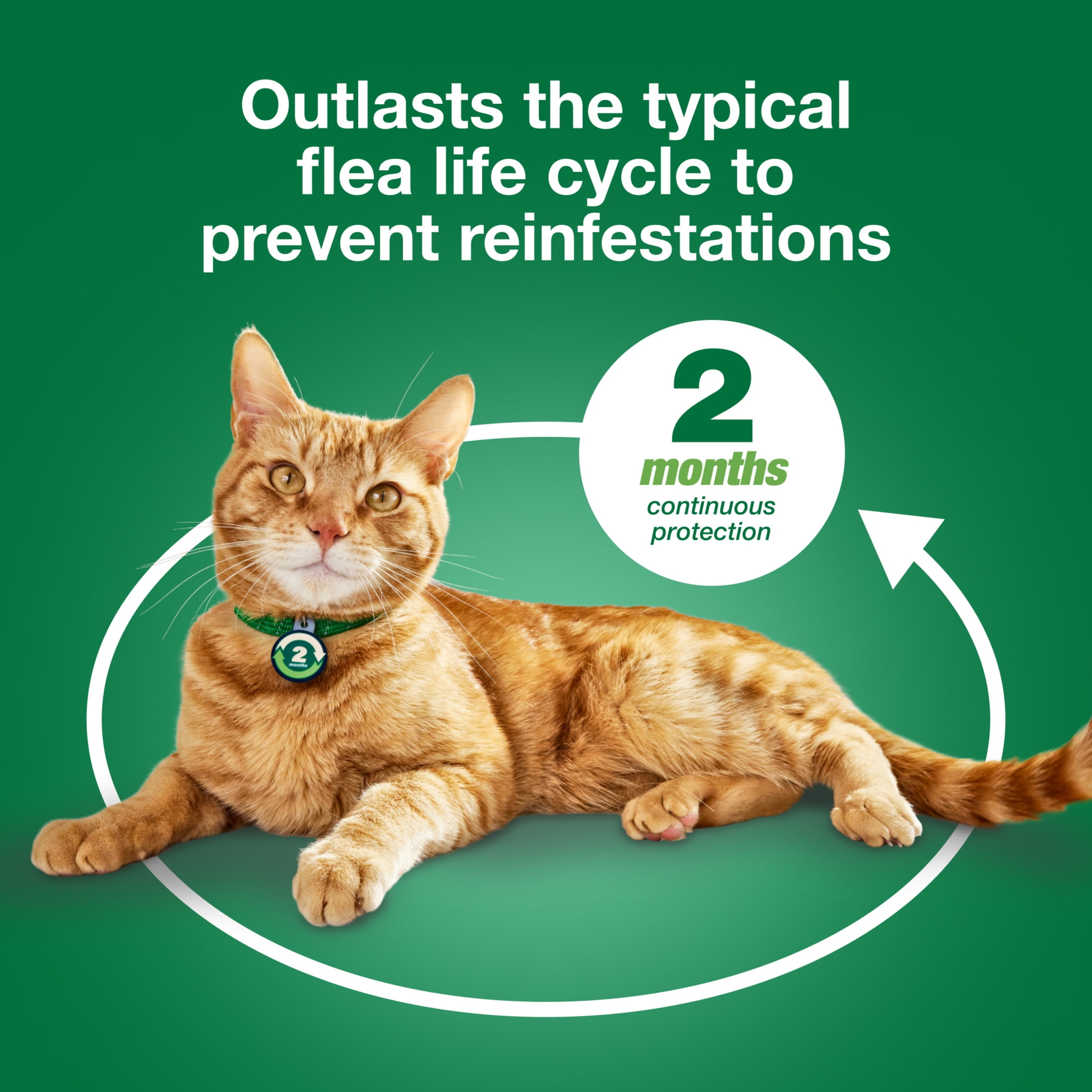 Advantage XD Large Cat 2-Month Flea Prevention For Cats over 9lbs, 1 Dose (2-Months)