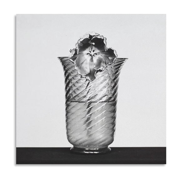 Robert Mapplethorpe Tulip Canvas Famous Paintings, Wall Art Posters, Decorative Hanging Pictures Picture Print Canvas Poster Wall Paint Art Posters Decor Modern Home Artworks Gift 28x28inch(70x70cm)