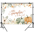 thumbnail image 4 of Fondo de fotografía con diseño de calabaza para baby shower, hojas florales blancas otoñales, decoraciones para fiestas de baby shower de niñas y niños, pancartas, accesorios para estudio fotográfico, 4 of 6