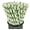 100 kiwi fruits, variant on 100 Count Biodegradable Fruit Print Paper Straws, Disposable Decorative Drinking Straws for Party & Beverage