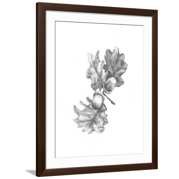 Art.com Oak Leaf Pencil Sketch II Art Print by Emma Caroline, Brown Frame Wall Art, 32" x 40"