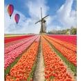 thumbnail image 3 of Ambesonne Netherlands Duvet Cover Sets, Tulips Field Windmill, 2-Queen, Vermillion Multicolor, 3 of 7
