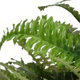 thumbnail image 3 of National Tree Company 20 Inch Artificial Plant Fern Bush with Green Growers Pot, 3 of 5