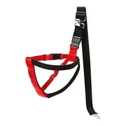 Interpet Limited Dog Car Harness