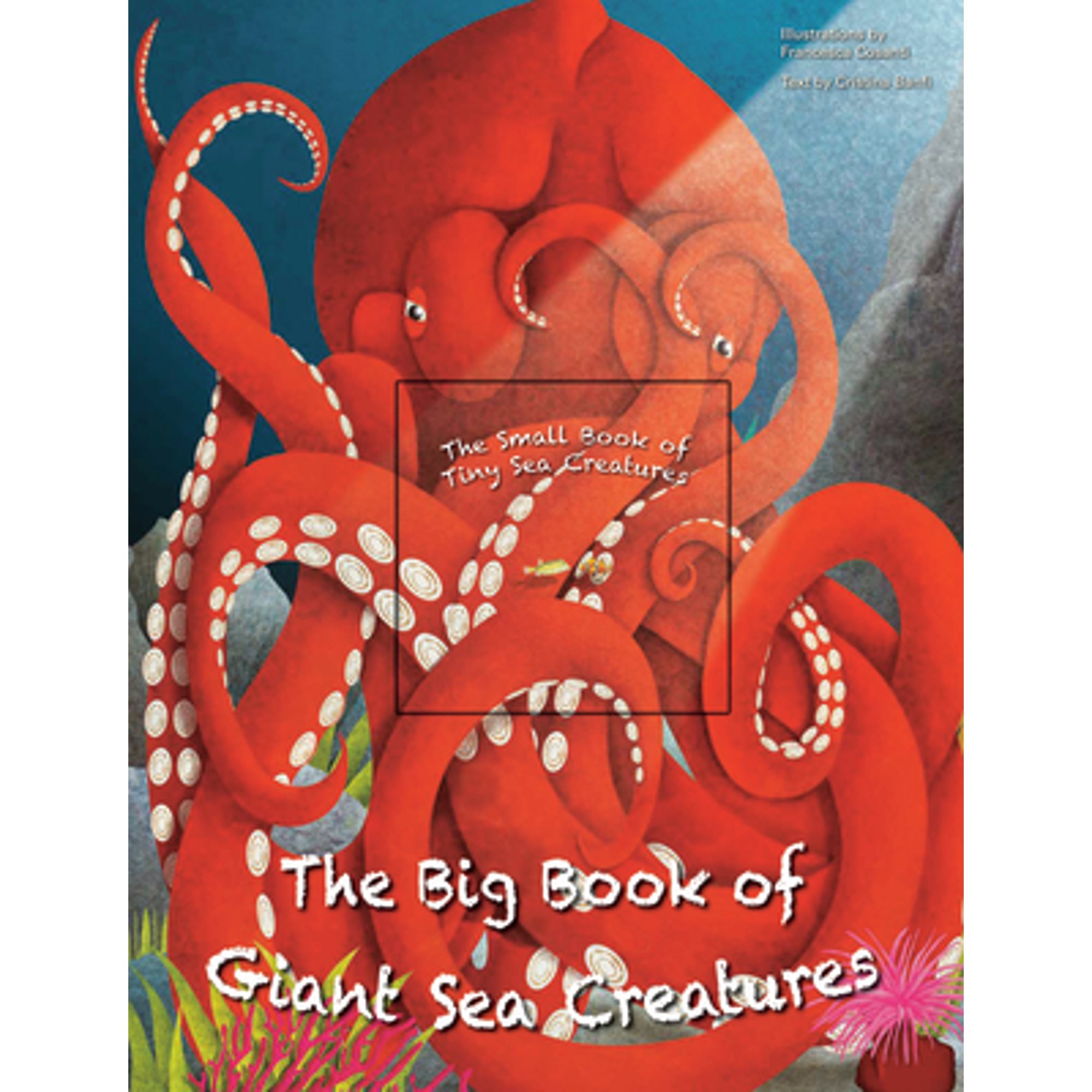 Pre-Owned Big Book of Giant Sea Creatures - Walmart.com