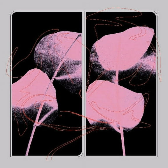 Lifted - 2 - Music & Performance - Vinyl