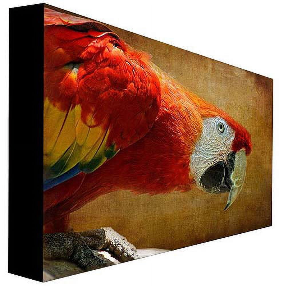 Trademark Fine Art "Colorful Bird" Canvas Art by Lois Bryan