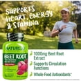 thumbnail image 3 of NATURELO Beet Root 90 Capsules – Heart Health & Blood Pressure Support* – 1000mg Beet Root Extract + Whole Food Blend – Non-GMO, Vegan, Gluten-Free, 3 of 9