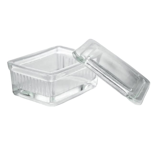 Celdas de Tinción Tanque de Tinción de Vidrio Tanque de Tinción Rectangular con Tapa