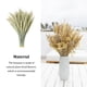 thumbnail image 4 of Ramo seco de Flores secas Bearachild 50 pcs, 4 of 6