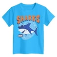 thumbnail image 4 of PEASKJP Baby Boys Shirts Boys Graphic Tees Shirts for Boy Graphic Tees Short Sleeve Crewneck Tshirts,Size 7-8 Years, 4 of 4