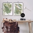 thumbnail image 3 of Stupell Woodland Fern Botanical Latin Study Botanical & Floral Painting Gray Framed Art Print Wall Art, Set of 2, 3 of 8