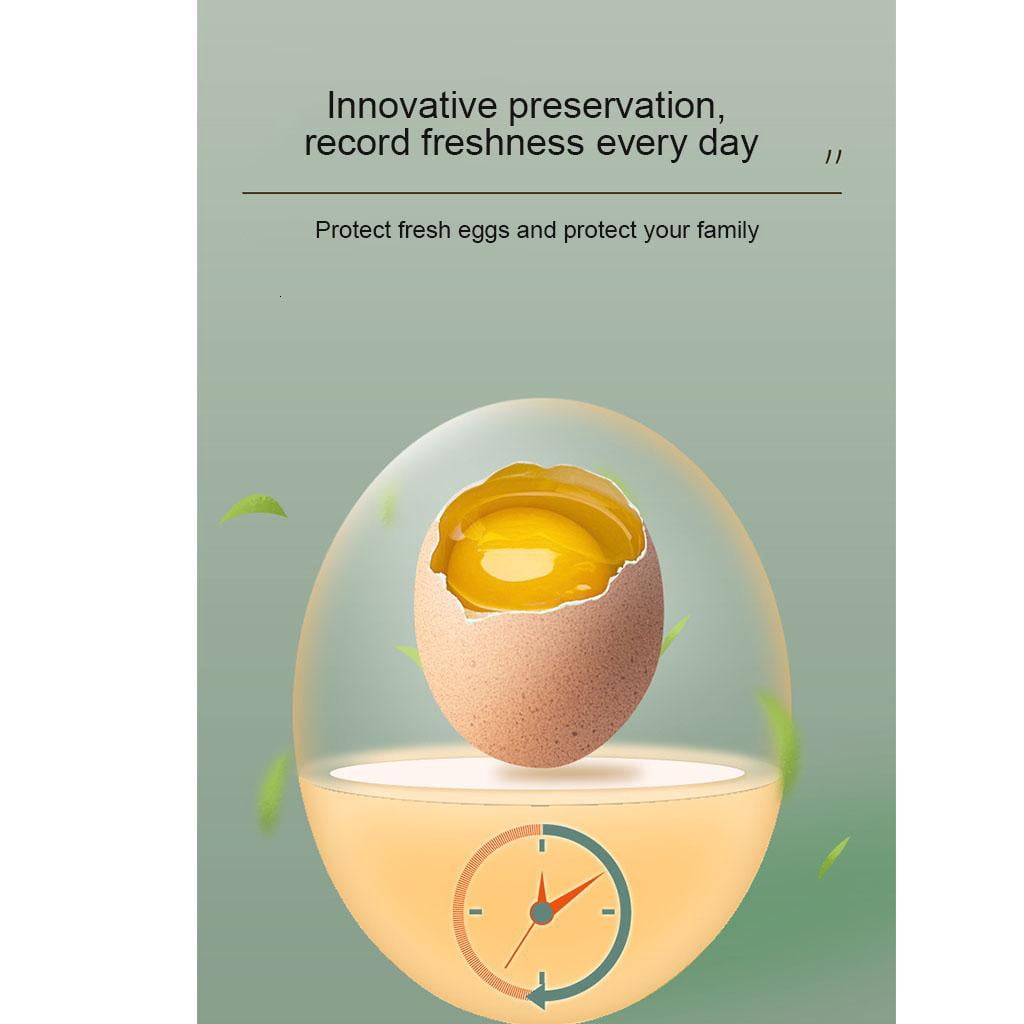 HannLk Transparent Refrigerator Egg Storage Holder Box 18-Grid/24Grid Kitchen Freshness