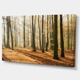 thumbnail image 2 of Bright Autumn Day in Thick Forest - Modern Forest Canvas Art, 2 of 4