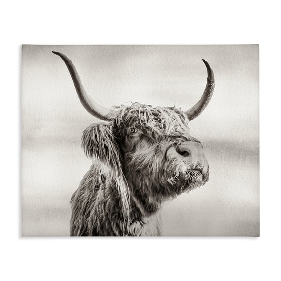 Stupell Industries Rustic Lodge Horned Highland Cow Gazing Canvas Art, 20 x 16, by Julia Frost