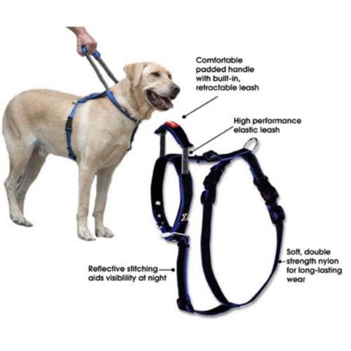bamboo dog leash