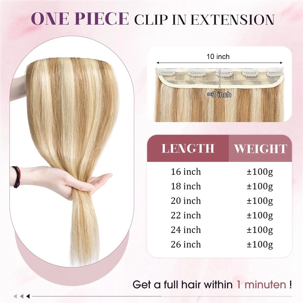 Clip In Extensions 100G Human Hair 5 Clips Straight P8/613 Light Brown Mix Bleach Blonde Color Clip Ins
