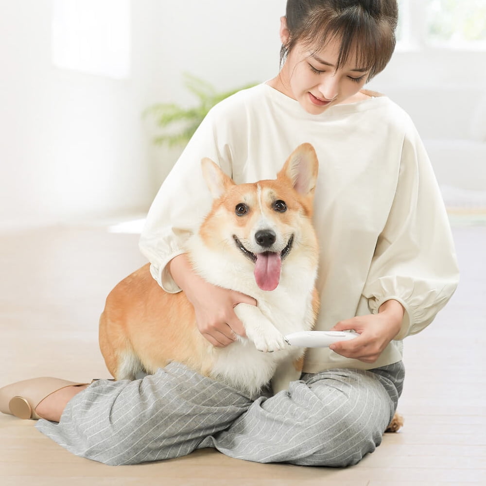 dog paw shaver