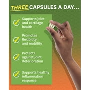 Zenwise Joint Support Advanced Strength Supplement - 90 Tablets