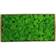 thumbnail image 2 of Decoración de pared de musgo conservado Musgo conservado real Sin mantenimiento, 2 of 5