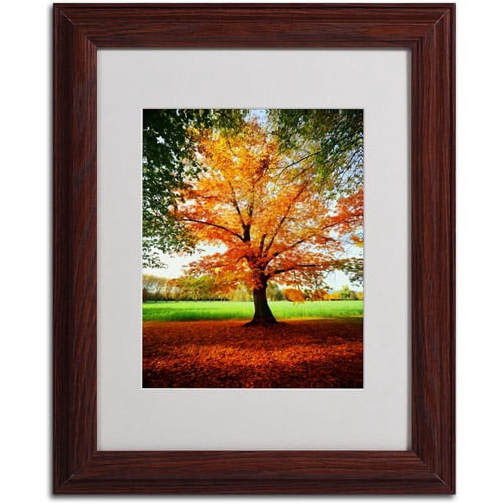 Trademark Fine Art "Tout Feu" Canvas Art by Philippe Sainte-Laudy, Wood Frame