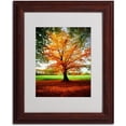 thumbnail image 2 of Trademark Fine Art "Tout Feu" Canvas Art by Philippe Sainte-Laudy, Wood Frame, 2 of 3