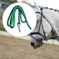 thumbnail image 6 of kesoto Horse Lead Rope Braided Horse Leash Rope Equestrian Lead Rope Attach to Halter or Harness Horse Leading Rope with Bolt .5m Green and Blue, 6 of 9