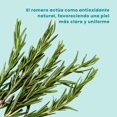 thumbnail image 4 of Solución Humectante Facial C Dreamy Skin para Hydra Dermoabrasión Piel con Manchas 250 ml Unisex, 4 of 6