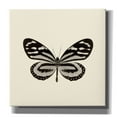 thumbnail image 1 of Epic Graffiti 'Butterfly VIII B&W' by Debra Van Swearingen, Canvas Wall Art, 26"x26", 1 of 6
