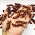 thumbnail image 4 of 5-50 piezas de simulación de modelo realista especial, cucaracha de goma falsa, cucaracha, juguete de broma, truco divertido, juguete de simulación, 4 of 4