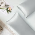 thumbnail image 3 of PiccoCasa Satin Body Pillowcases 2 Pcs Soft with Zipper Closure Silver Grey 20"x48", 3 of 7