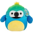 thumbnail image 2 of (2 pack) Squishmallows 10-Inch Baptise The Macaw - Official Jazwares Plush - Collectible Soft & Squishy Bird Stuffed Animal Toy - Gift for Kids, Girls & Boys, 2 of 6