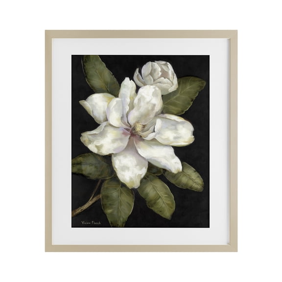 Stupell Industries Budding Magnolia Blooms Birch Framed Print Under Glass, design by Nan