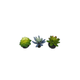 thumbnail image 3 of Komodo Artificial Green and Blue Plastic Succulent Plants with Gravel Base, 3 Pack, Aquarium Decor, 3 of 11