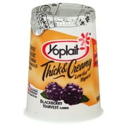 Yoplait Low Fat Yop Cust Blackberry Harvest, 4 Oz.