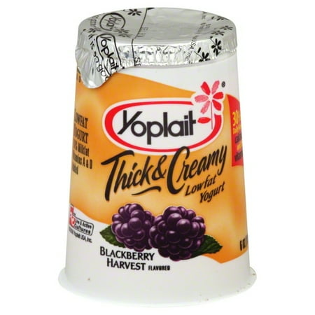 Yoplait Low Fat Yop Cust Blackberry Harvest, 4 Oz.