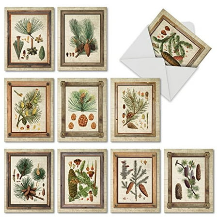 'M6462TYG PINING FOR YOU' 10 Assorted Thank You Note Cards Featuring Fir and Pine Tree Cones Branches and Seedlings with Envelopes by The Best Card