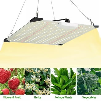 1000W Full Spectrum Quantum Board Professional LED Grow Light For