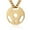 Gold, variant on Mens Fashion Stainless Steel Fitness Gym Dumbbell Weight Plate Barbell Chain Pendant Necklace (Silver)