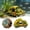 A197 Yellow 5.1x3.3x2.9", variant on Fish Tank Car Decorations Resin Aquarium Ornament Vintage Car Shape Fish Tank Decor Aquarium Hiding Cave For Shrimp Turtle 5.9X2.6X2.2"