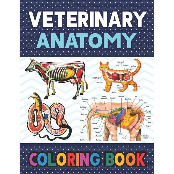 Download Veterinary Anatomy Coloring Book Fun And Easy Veterinary Anatomy Coloring Book For Kids Animal Anatomy And
