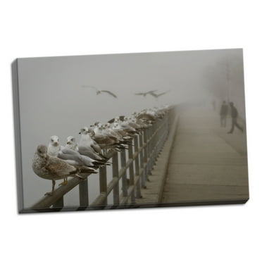 Gango Home Decor Seagull Paradise III by Vitaly Geyman (Ready to Hang); One 36x24in Hand-Stretched Canvas