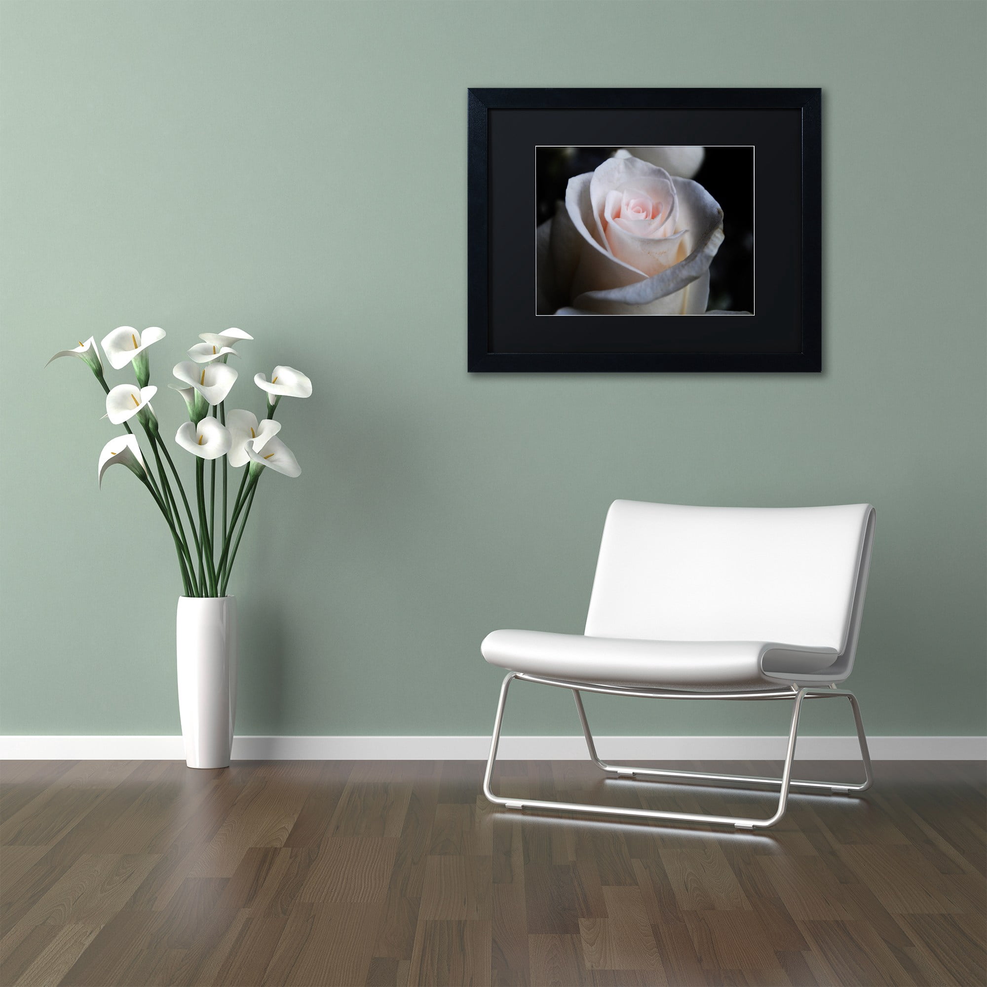 Trademark Fine Art "Loyal Star" Canvas Art by Monica Mize, Black Matte, Black Frame