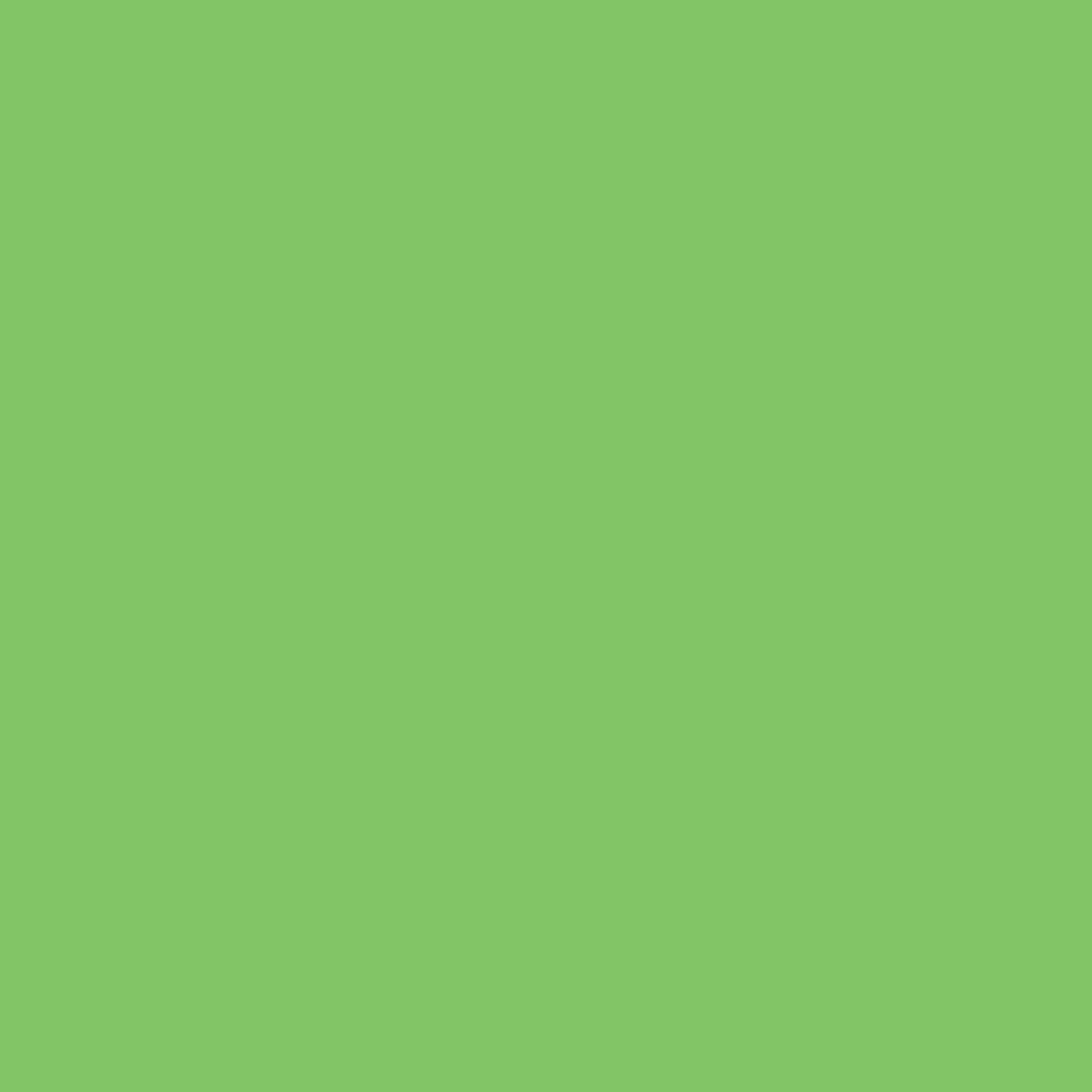 Copic Ciao Marker, Lettuce Green