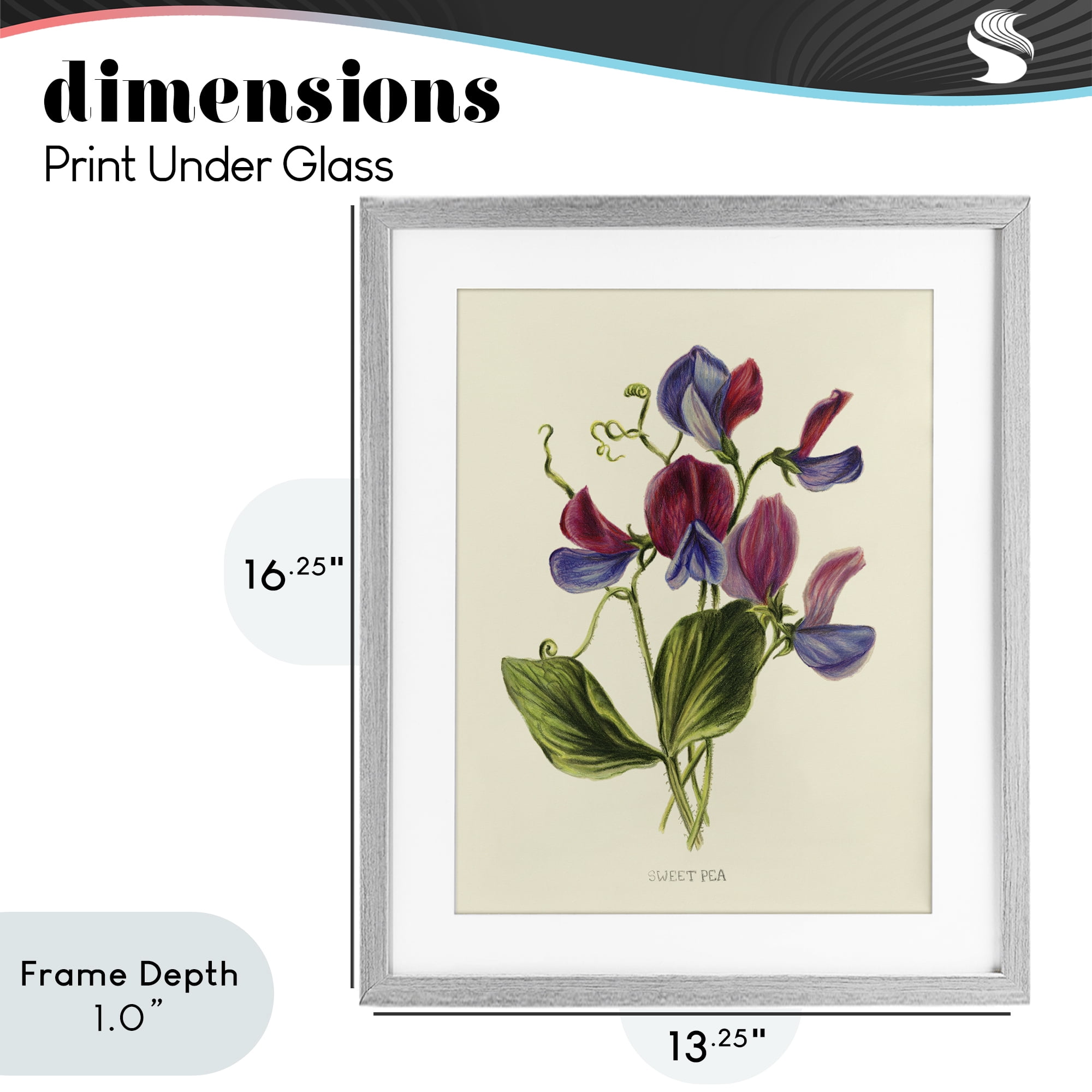 Stupell Industries Vintage Sweet Pea Blossoms Gray Framed Print Under Glass, design by Connie Resch