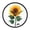 Sunflower, variant on Indoor 12' Voice-Activated Luminous Decoration Wall Clock With LED Night Light Small Olive Green Flower