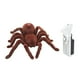 thumbnail image 2 of Araña de control remoto Zulema juguete de broma realista con control remoto RC, 2 of 8