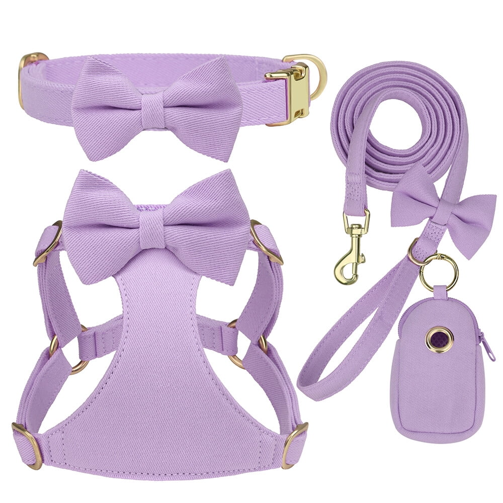Didog Cute Small Dog Vest Harness & Collar & Leash & Poo Bag Holder set for Puppy Cats Pet Yorkie