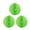 Light Green, Set of 3, variant on Wrapables® 12" Set of 3 Tissue Honeycomb Ball Party Decorations for Weddings, Birthday Parties, Baby Showers, and Nursery Décor, Hot Pink